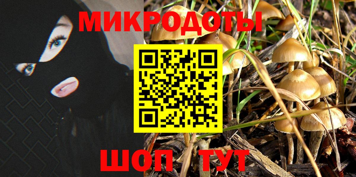Петропавловск-Камчатский  Галлюциногенные грибы Psilocybe  Вход с VPN 