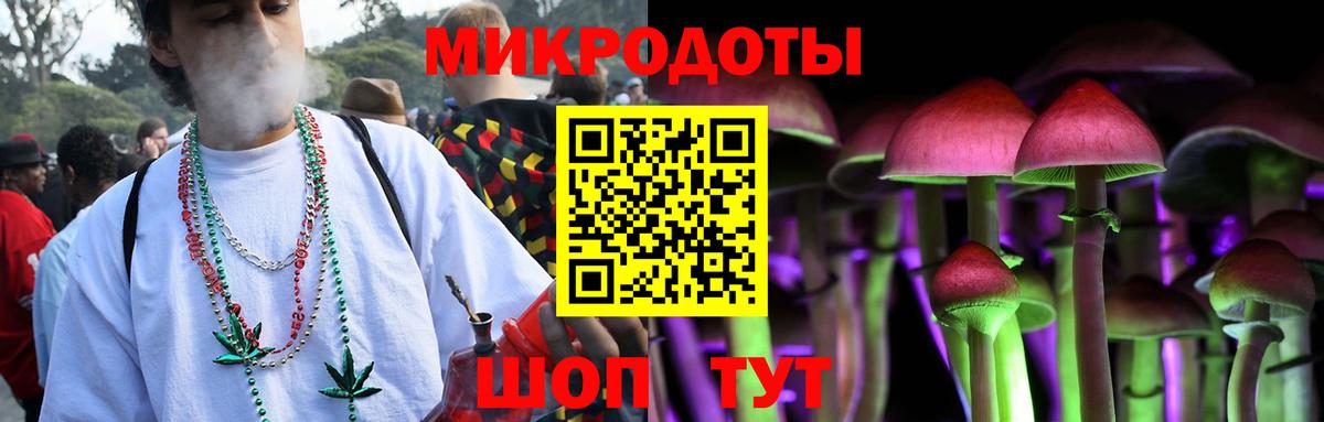 Псилоцибиновые грибы мухоморы Петропавловск-Камчатский